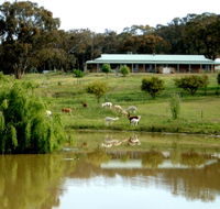 Clearview Alpacas - Accommodation VIC