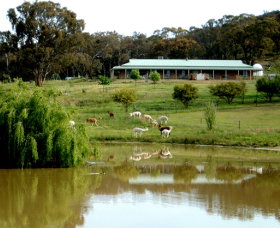 Clearview Alpacas - Accommodation VIC 0