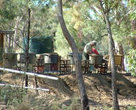 7 Oaks Sapphire Fossicking - Accommodation VIC 0