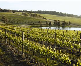 Yabby Lake Vineyard & Cellar Door - Accommodation VIC 7