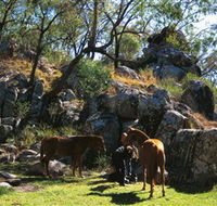 Coomba Falls - Accommodation VIC