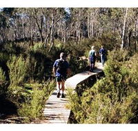 Hume and Hovell Walking Track - Henry Angel Trackhead - Accommodation VIC