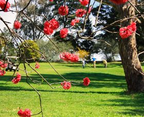 The Yass Golf Club - Accommodation VIC 0