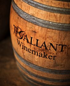 T'Gallant Winemakers - Accommodation VIC 0