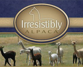 Marchmont Park Alpacas - Accommodation VIC 0