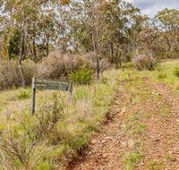 Old Mountain Road Walking Track - Accommodation VIC