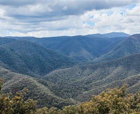 Black Perry Lookout - Accommodation VIC 1