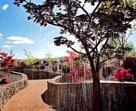The Water Garden At Mayfield Garden - Accommodation VIC 2