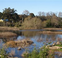 Coolart Wetlands and Homestead - Accommodation VIC