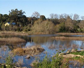 Coolart Wetlands And Homestead - Accommodation VIC 0