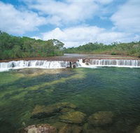 Jardine River National Park and Heathlands Resources Reserve - Accommodation VIC