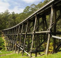 Noojee Trestle Bridge - Accommodation VIC