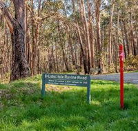 Lobs Hole Ravine 4WD Trail - Accommodation VIC
