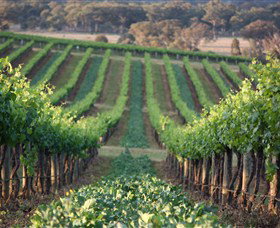 Two Rivers Wines - Accommodation VIC 1