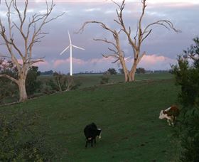 Crookwell Wind Farm - Accommodation VIC 1