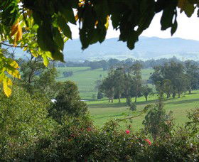 Brandy Creek Wines & View Cafe - Accommodation VIC 5