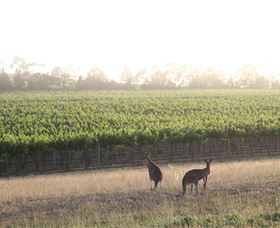 Small Forest Wine - Accommodation VIC 0