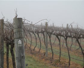 Small Forest Wine - Accommodation VIC 1