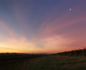 Small Forest Wine - Accommodation VIC 2