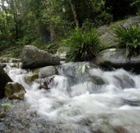 Washpool National Park - Accommodation VIC
