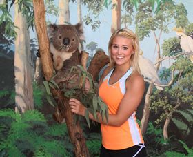 Maru Koala And Animal Park - Accommodation VIC 0