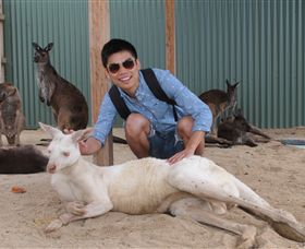 Maru Koala And Animal Park - Accommodation VIC 2