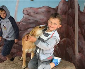 Maru Koala And Animal Park - Accommodation VIC 3