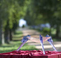 Lillico Glass Studio - Accommodation VIC