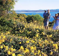 Joseph Banks Conservation Park - Accommodation VIC
