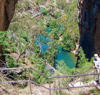 Carlotta Arch walking track - Accommodation VIC