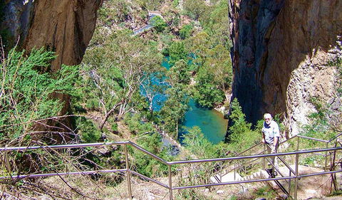Carlotta Arch Walking Track - Accommodation VIC 0