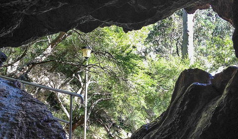 Carlotta Arch Walking Track - Accommodation VIC 1