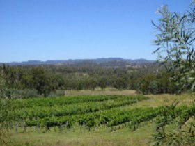 Pyramids Road Wines - Accommodation VIC 3