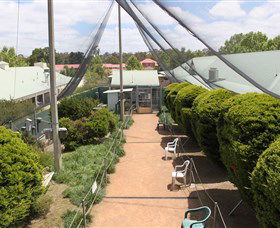 Canberra Walk In Aviary - Accommodation VIC 2