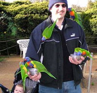 Canberra Walk In Aviary - Accommodation VIC
