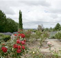 Crystal Brook Lavender Farm - Accommodation VIC