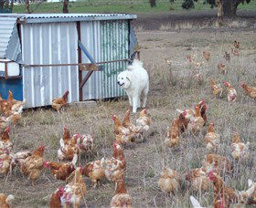 Northside Farmers Market - Accommodation VIC 1