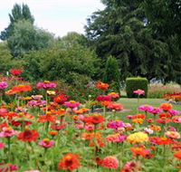 Alma Park - Accommodation VIC