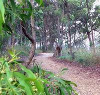 Mount Mutton Walking Trail - Accommodation VIC