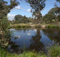 Cooleman Ridge - Accommodation VIC