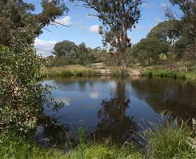 Cooleman Ridge - Accommodation VIC 0