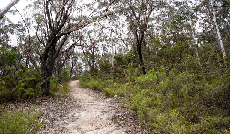 Ganbenang NSW Accommodation VIC