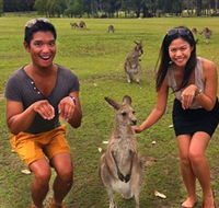 Runaway Tours - Accommodation VIC