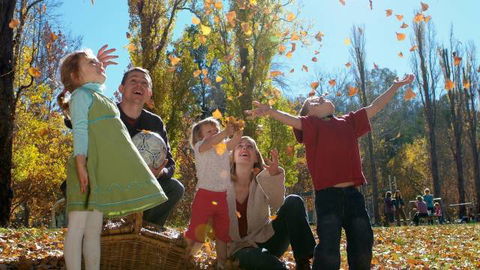 Cotter Avenue Recreation Area - Accommodation VIC 3