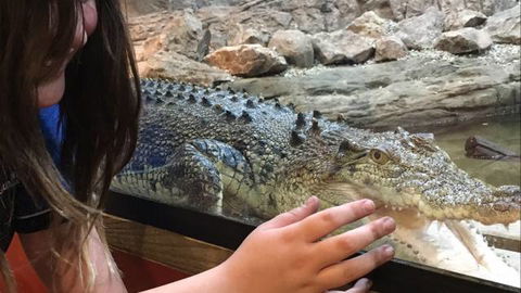 Canberra Reptile Zoo - Accommodation VIC 3