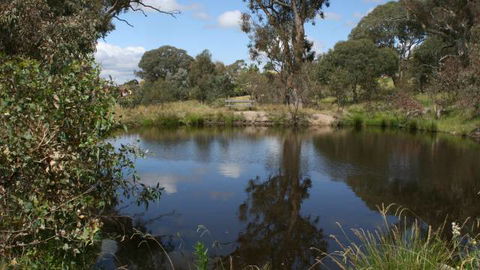 Cooleman Ridge - Accommodation VIC 3