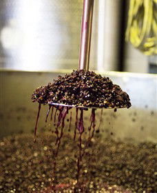 Quealy Winemakers - Accommodation VIC 6
