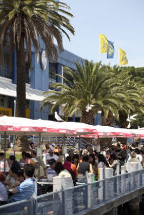 Sydneys Fish Market - Accommodation VIC 1