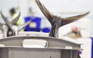 Sydneys Fish Market - Accommodation VIC 3