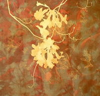 Fellia Melas Gallery - Accommodation VIC